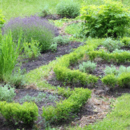 Taille, Élagage et Abattage d'Arbres Respectant l'Équilibre Naturel Carvin